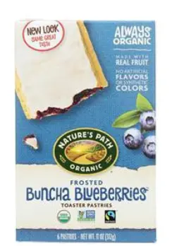 PASTRY TOASTER FROSTED BLUEBERRY BUNCHA 12/11 OZ