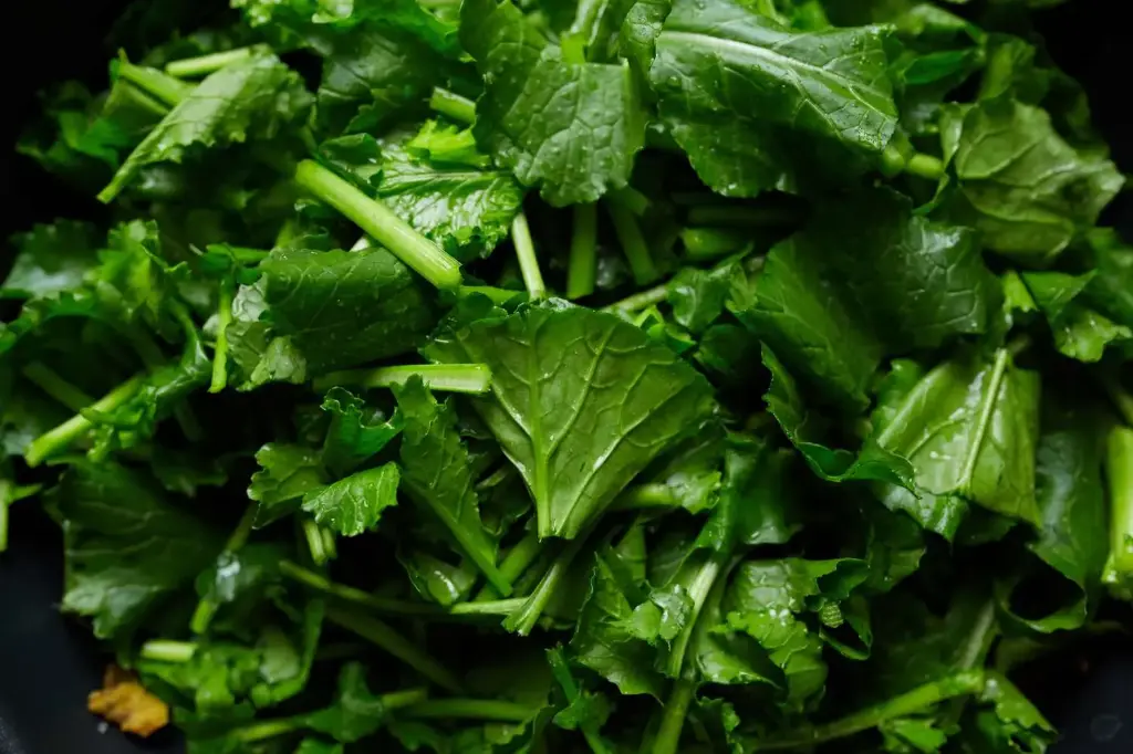 MUSTARD GREENS CHOPPED ORGANIC EAST COAST FRESH CUT 4/2.5 LB