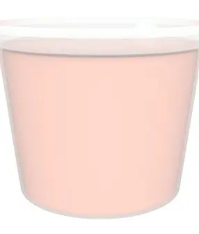 SHERBET ICE CREAM ORANGE CUP NONFAT  48/4 OZ