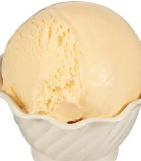 ICE CREAM HOMEMADE VANILLA FROZEN OLD-FASHIONED TASTE 1/3 GA