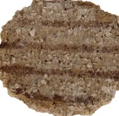 BEEF PATTY CHARBROILED FULLY-COOKED CHILD_NUTRITION FROZEN 200/2.5 OZ