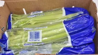 CELERY FRESH 1/6 CT