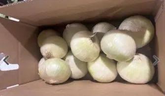 ONION WHITE MEDIUM FRESH 1/10 LB