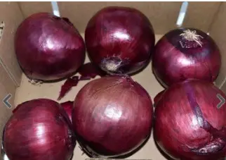 ONION RED JUMBO FRESH 1/5 LB