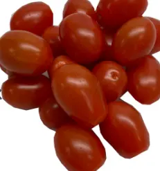 TOMATO GRAPE  12/1 PT