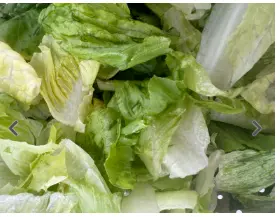 LETTUCE ROMAINE CHOPPED 2 LB