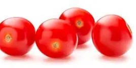 TOMATO CHERRY 12/1 PT