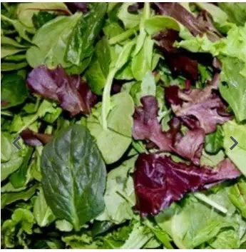 SALAD SPRING MIX  1/3 LB