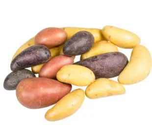 POTATO FINGERLING TRI COLOR RED YELLOW PURPLE  1/10 LB