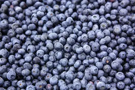 [475345] BLUEBERRIES CULTIVATED WHL IQF / 2/5 LB / WEST CRK